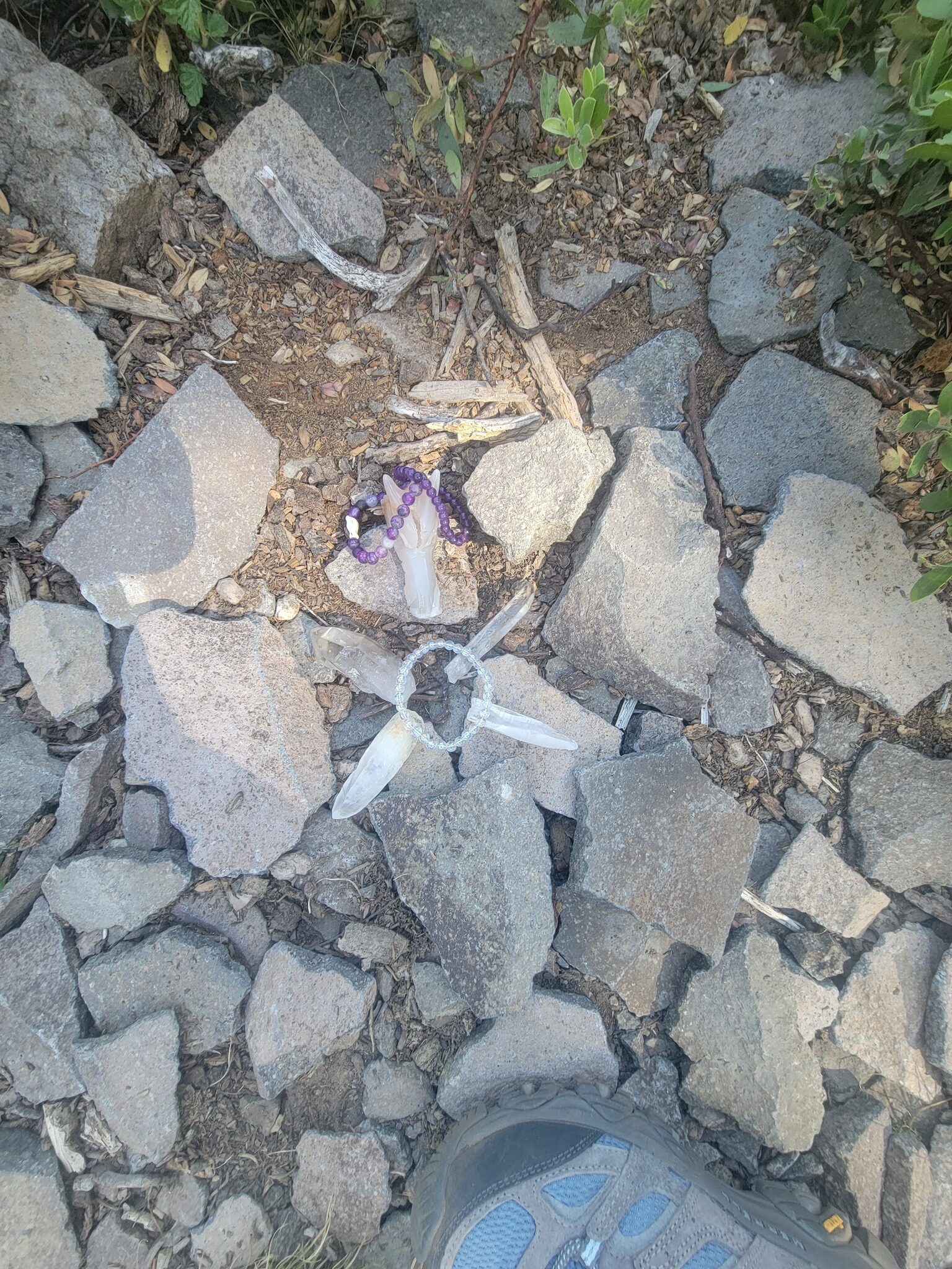 A white flower growing among rocky ground.