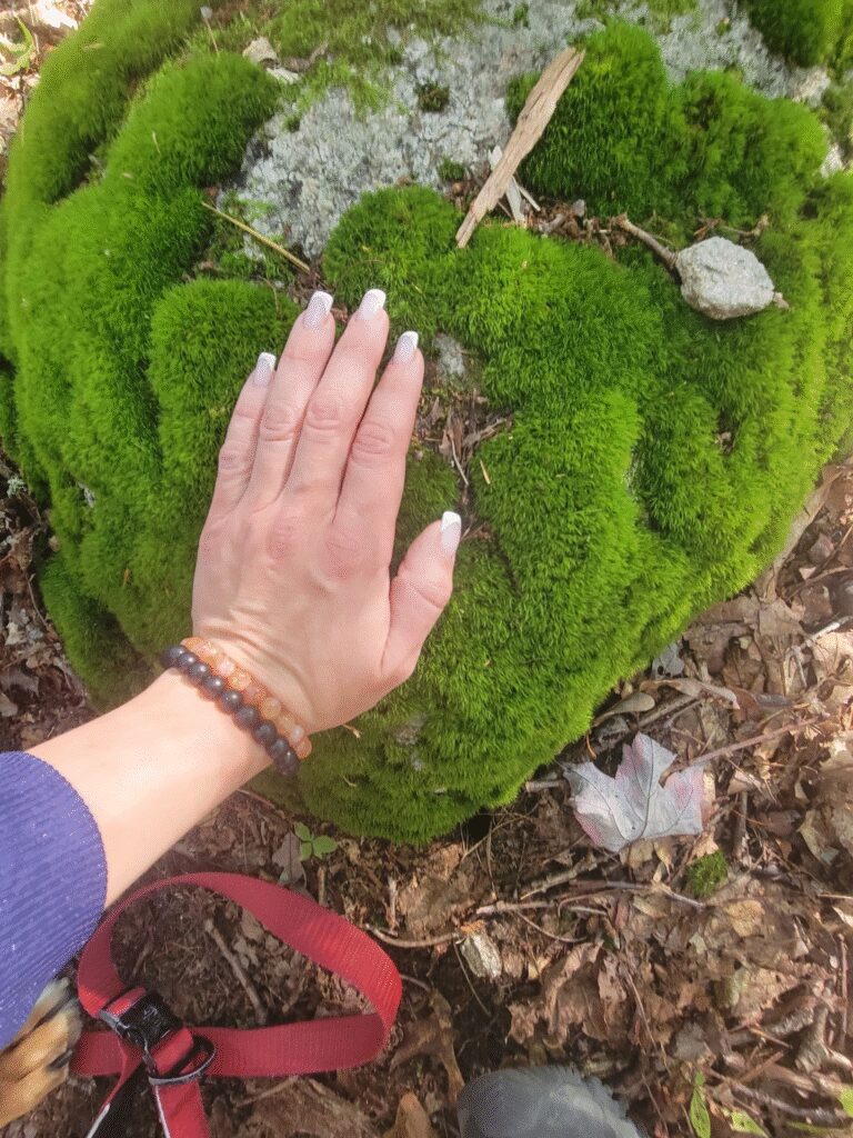 Hand resting on heart-shaped moss on the ground.