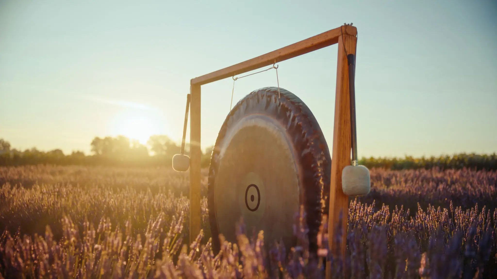 A large gong hanging outdoors in a field at sunset.