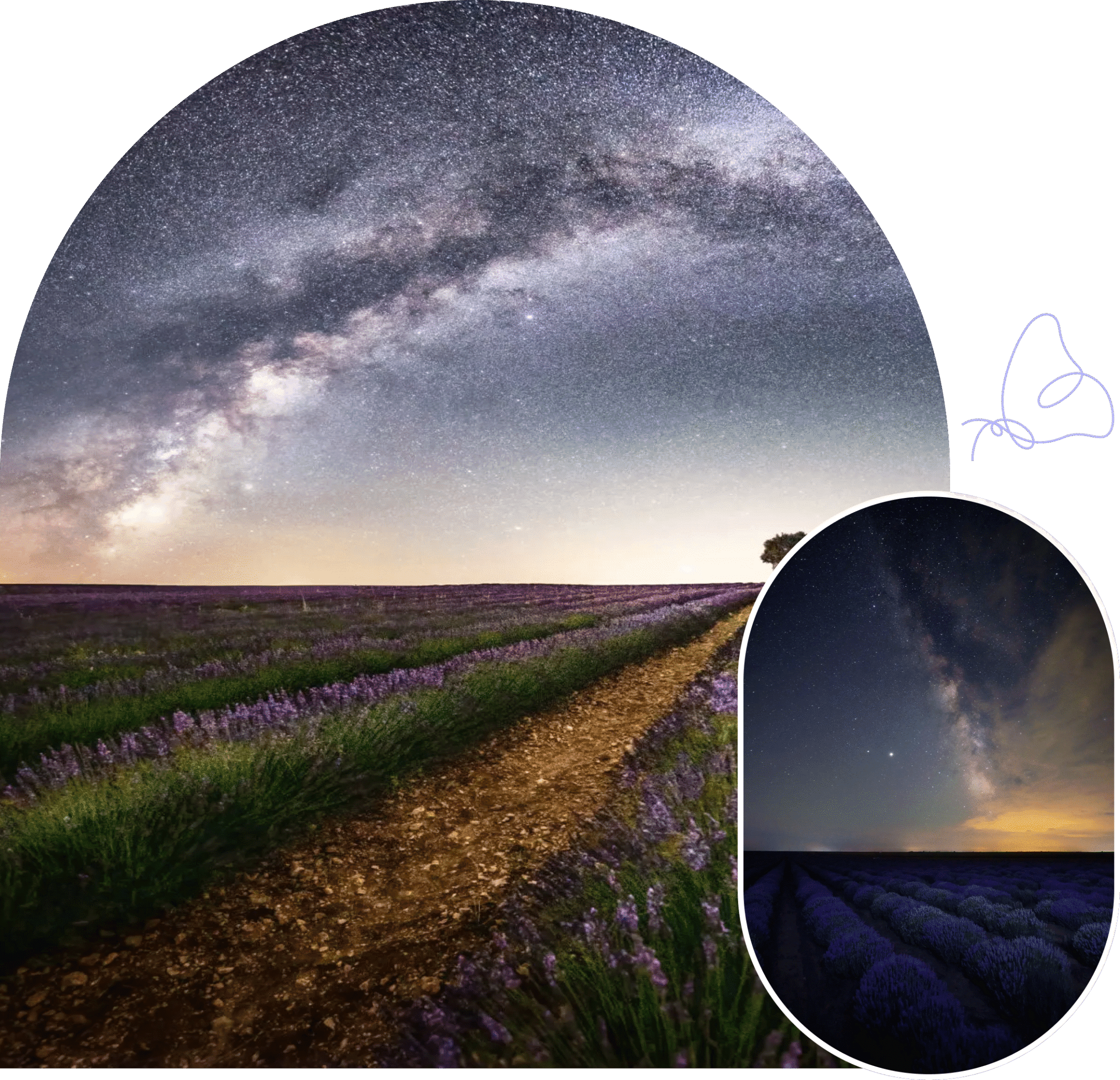 Group 1321317592 (11)